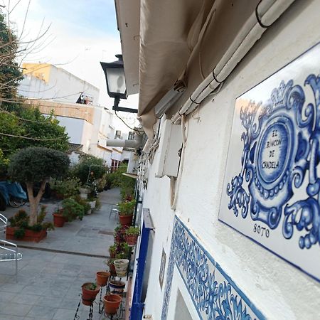 Tipico Y Pintoresco Patio De Vecinos, Con Encanto Sevilla Exterior foto
