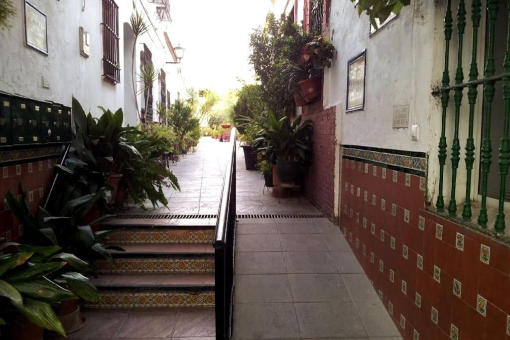 Tipico Y Pintoresco Patio De Vecinos, Con Encanto Sevilla Exterior foto
